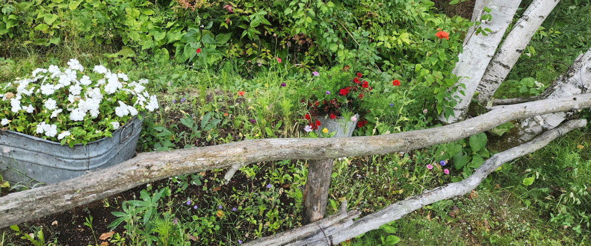 Englehart and District Horticultural Society Photo of a garden along a post and rail fence