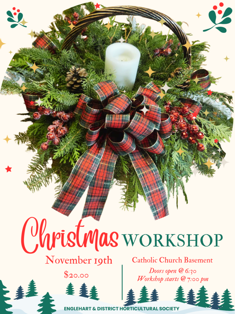 Annual Christmas Workshop